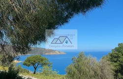 Calvi, Haute-Corse 20260