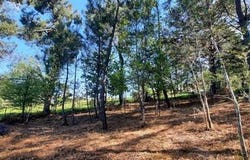Boulazac Isle Manoire, Aquitaine 24750