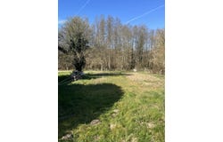 Raizeux, Yvelines 78125