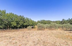 Roquebrune-Sur-Argens, Provence-Alpes-Côte d'Azur 83520