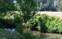 Pons, Poitou-Charentes 17800