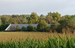 Mimbaste, Aquitaine 40350
