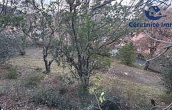 Céret, Languedoc-Roussillon 66400