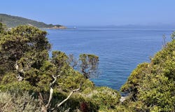 Hyères, Provence-Alpes-Côte-d'Azur 83400