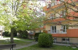 Milly-la-Forêt, Essonne 91490