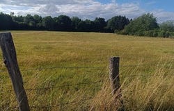 Luxeuil-les-Bains, Bourgogne-Franche-Comté 70300