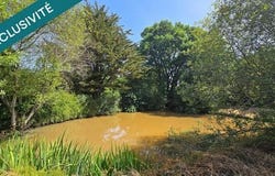 Savigny-Levescault, Poitou-Charentes 86800