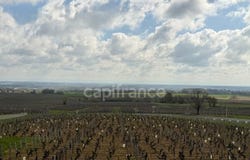 Viré, Burgundy 71260