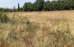Aigremont, Gard 30350