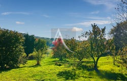 Blanquefort, BLANQUEFORT SUR BRIOLANCE, Nouvelle-Aquitaine 47500