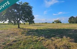 Plassay, Poitou-Charentes 17250