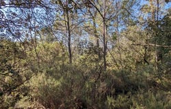 Carcès, Var 83570