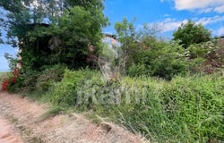 Châteauneuf-de-Galaure, Auvergne-Rhône-Alpes 26330