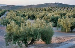 Manosque, Provence-Alpes-Côte d'Azur 04100