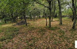 Coux, Ardèche 07000