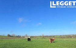 Buais, Normandy 50640