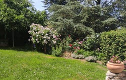 Molières, Midi-Pyrénées 82220