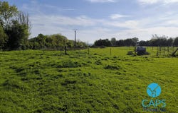 Le Mesnil-Réaume, Upper Normandy 76260