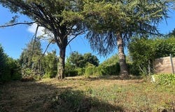 Niort, Poitou-Charentes 79000