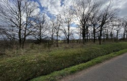Montbrison, Loire 42600
