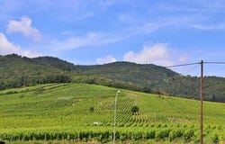 Dambach La Ville, Alsace 67650