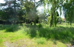 Savigneux, Loire 42600
