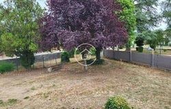 Vineuil, Loir-et-Cher 41350