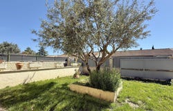 Cavaillon, Provence-Alpes-Côte-d'Azur 84300