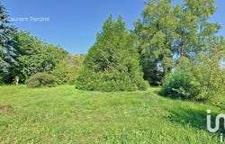 Allaire, Brittany 56350