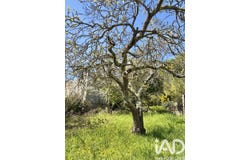 Alaigne, Occitanie 11240