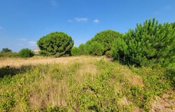 LATOUR BAS ELNE, Occitanie 66200