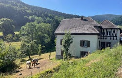 Lautenbachzell, Haut-Rhin 68610