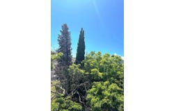 La Ciotat, Provence-Alpes-Côte d'Azur 13600