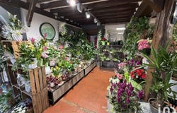LACROIX-SAINT-OUEN, Hauts-de-France 60610