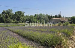 Taulignan, Rhône-Alpes 26770