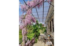 Pellegrue, Aquitaine 33790