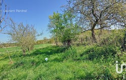Allaire, Brittany 56350