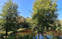 Dournazac, Limousin 87230