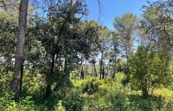 Castelnau-le-Lez, Languedoc-Roussillon 34170