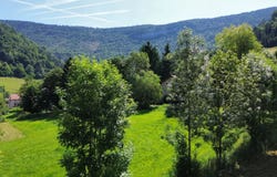 Saint-Martin-en-Vercors, Drôme 26420