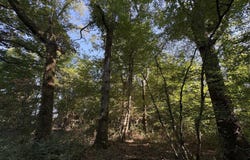 Châteauroux, Centre 36000