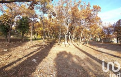 Forcalquier, Provence-Alpes-Côte d'Azur 04300