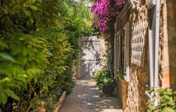 Cannes, Provence-Alpes-Côte-d'Azur 06400