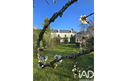 Vineuil, Centre-Val de Loire 41350