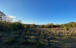 Le Pin, Languedoc-Roussillon 30330