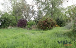 BUBRY, Brittany 56310