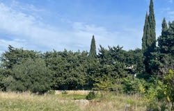 Montpellier, Languedoc-Roussillon 34000