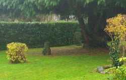 CHATEAUNEUF LA FORET, Nouvelle-Aquitaine 87130