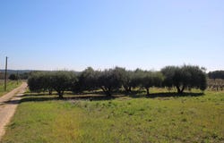 Montagnac, Hérault 34530