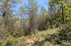 Carcès, Var 83570